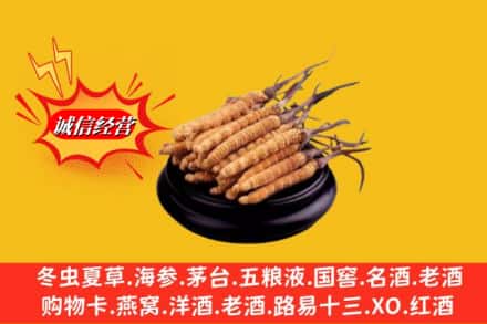 朝阳区名酒回收冬虫夏草.jpg